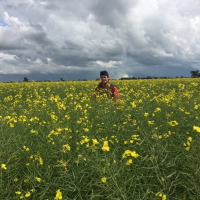 Profile Picture of Martin Robertson (@nyora68) on Twitter