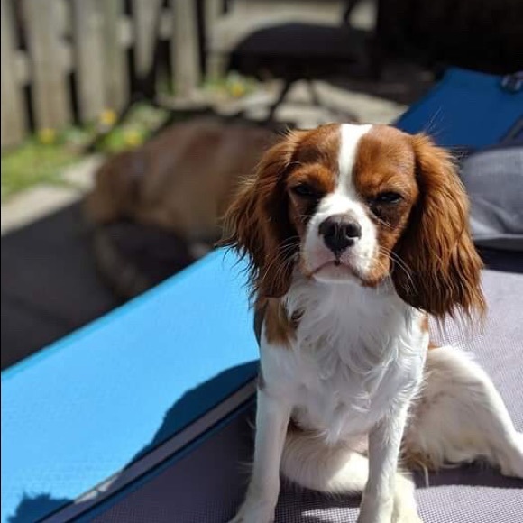 Profile Picture of Madi Bruzzese (@cheergirl4573) on Poshmark