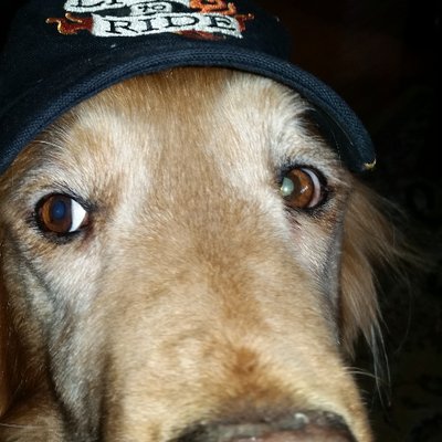 Profile Picture of Russ Ginn (@russ_ginn) on Twitter