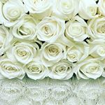 Profile Picture of Ирина Бердник (@irinkaberdnik) on Instagram