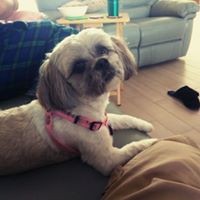 Profile Picture of John Colon (@john-colon-16) on Quora