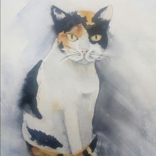 Profile Picture of Guillen Perez Carmen (@carmen.guillenperez) on Facebook