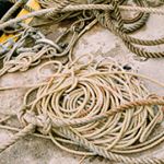 Profile Picture of Hyejin Jang (@jiri.jiri.ja) on Instagram