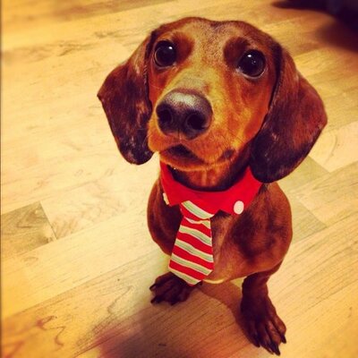 Profile Picture of Amy Goldstein (@Amila1) on Twitter