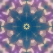 Adam Iscoff-Daigian - Pinterest Profile Picture of Adam Iscoff-Daigian (@aidaigian) on Pinterest