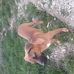 Profile Picture of Robin Guillou (@robin.guillou.50) on Facebook