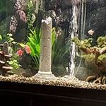 Profile Picture of Kevin Harshbarger (@kevinharshbarger) on Instagram