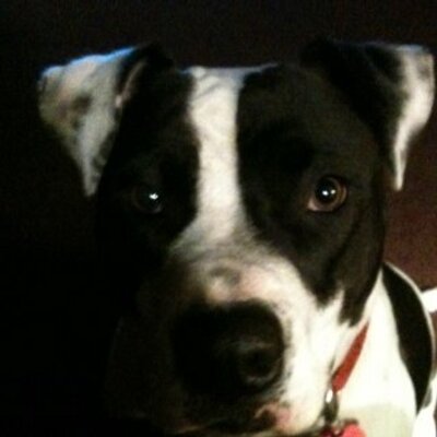Profile Picture of Sue Morimune (@wesnsuem) on Twitter
