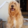 Profile Picture of Joel Segalen (@@joelsegalen) on Tiktok