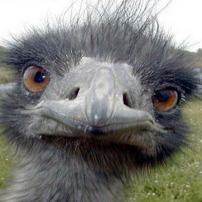 Profile Picture of Jon Roche (@Rochejon) on Twitter