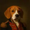 Profile Picture of AlbertLeBeagle (@albertlebeagle) on Tiktok