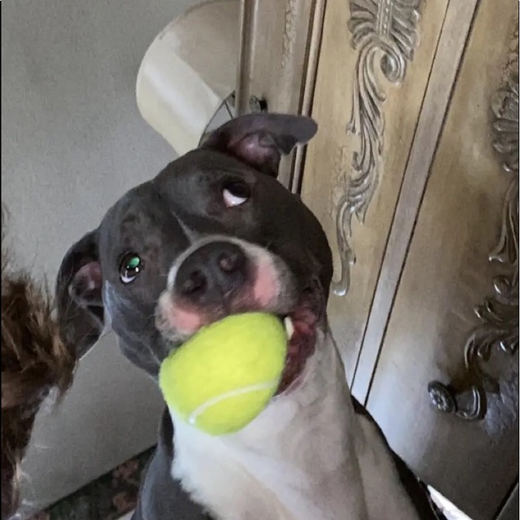 Profile Picture of Gavin Carlson (@gervn) on Poshmark