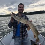 Profile Picture of Andrew Brass (@gildayandrew) on Instagram