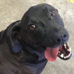 Profile Picture of Jon Faulkner (@faulkner2184) on Instagram