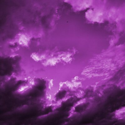 Profile Picture of Austinoder (@austin20117) on Twitter