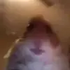 Profile Picture of DavidDunemyr (@doden2100) on Tiktok