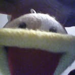 Profile Picture of Robert Frankovich (@robert.frankovich.14) on Facebook