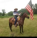 Profile Picture of Steve Swift (@Steve-Swift) on Facebook
