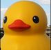 Profile Picture of David Pawlicki (@david.pawlicki.5) on Facebook