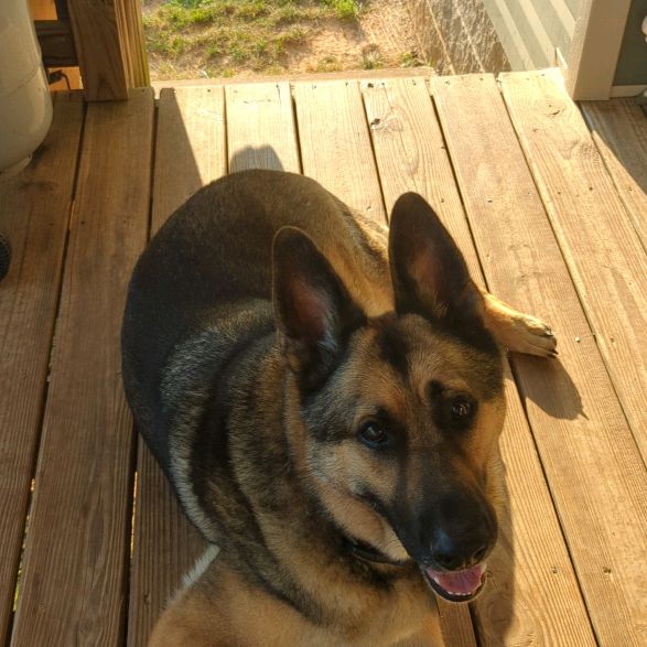 Profile Picture of k (@katielatosky) on Tiktok