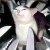 Profile Picture of RobertMeyer_ (@robertmeyer_) on Tiktok