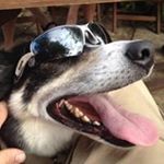 Profile Picture of Jim Ashford (@jim.ashford) on Instagram