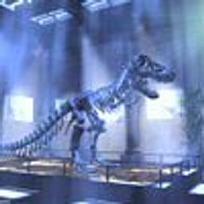 Profile Picture of Bruce Goldstein (@Witallyb) on Twitter