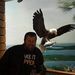 Profile Picture of Lucas Cochran (@cochranlm2) on Pinterest