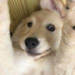 Profile Picture of Daniel  Troup (@darthcadd) on Instagram