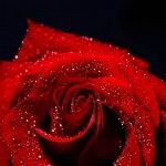 Profile Picture of Skylar Gilbert (@skylargilbert1234) on Instagram