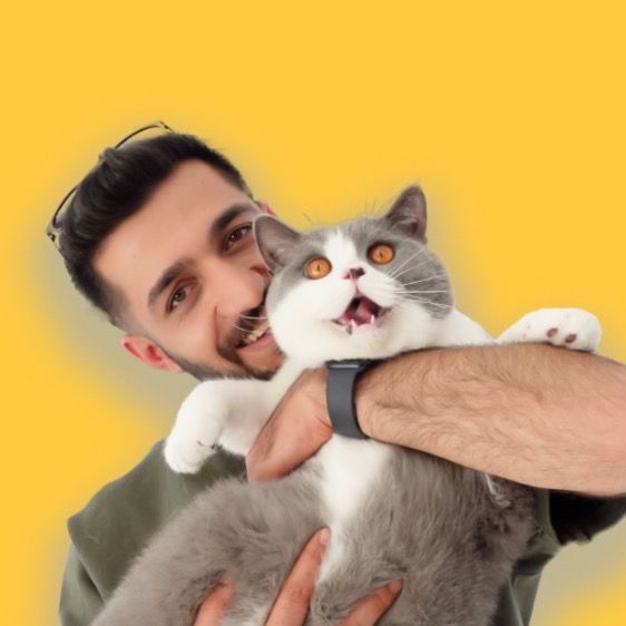 Dante Veteriner 🐾 - Tiktok Profile Picture of Dante Veteriner 🐾 (@danteveteriner) on Tiktok