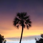 Profile Picture of Keith R. Gifford (@nikobuckem) on Instagram