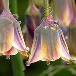 Profile Picture of Jessica Glenney (@jess_glenney) on Instagram