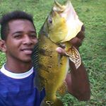 Profile Picture of Randerson Roberto (@robertoranderson) on Instagram