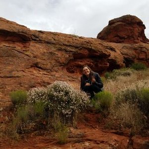 Profile Picture of Katherine Schultz (@EcoEvoBio) on Twitter