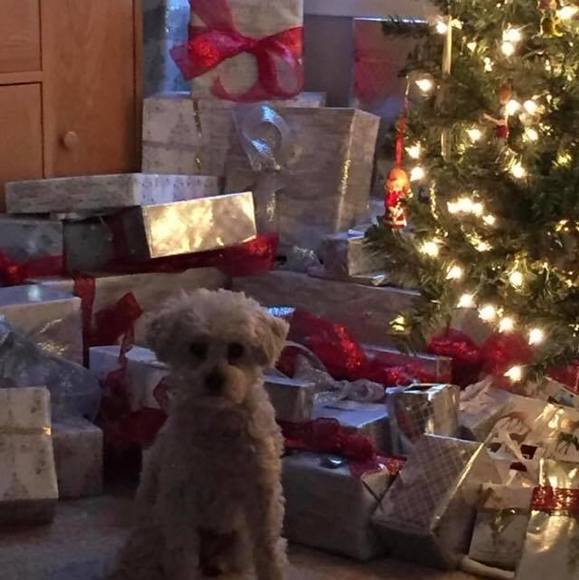 Profile Picture of Tammy Lombardo (@ttoffel) on Poshmark