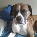 Profile Picture of Tom NORTH (@north4862) on Instagram