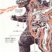 Profile Picture of Alejandro Cabral Santana (@alextakatu) on Pinterest