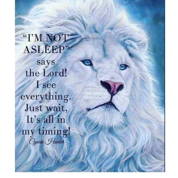 Profile Picture of Bobby Kimbrell (@bobbykimbrell) on Poshmark