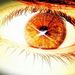 Profile Picture of Justin Mccabe (@justinmccabe832) on Pinterest