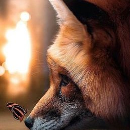 Profile Picture of Sean Karlo Rojas Ortiz (@SeanKarloRojas2) on Twitter