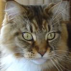 Profile Picture of Nancy Stoneman (@nancy.stoneman1) on Facebook