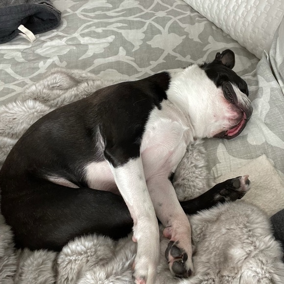 Profile Picture of Amber Hayes (@amberhayes412) on Poshmark