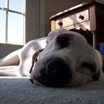 Profile Picture of Luke Berkopec (@lukeberkopec) on Instagram