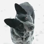 Profile Picture of Sean Leech (@_sean_leech_) on Instagram