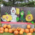 Profile Picture of Craig Storey (@craigwstorey) on Instagram