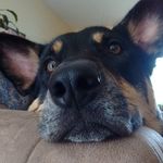 Profile Picture of sharon sielschott (@sharond.sielschott) on Instagram