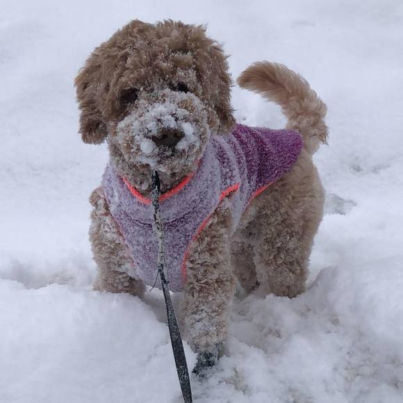 Profile Picture of Jandee Wilson (@jandeewilson) on Poshmark