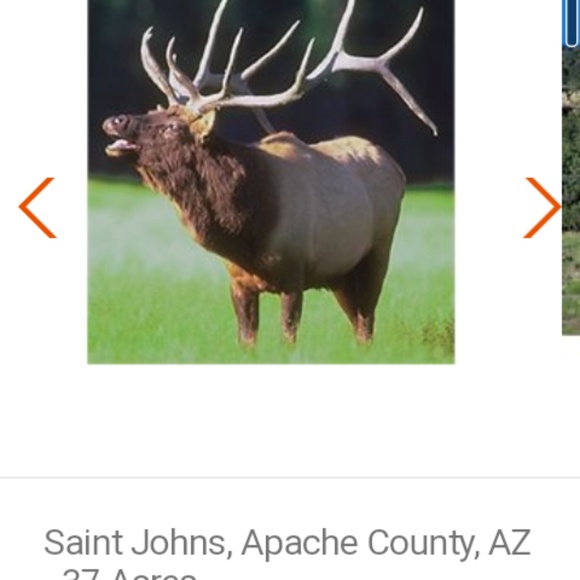 Profile Picture of Dustin Cotton (@dcotton1022) on Poshmark