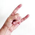 Profile Picture of Sign of the horns - Wikipediaon Wikipedia